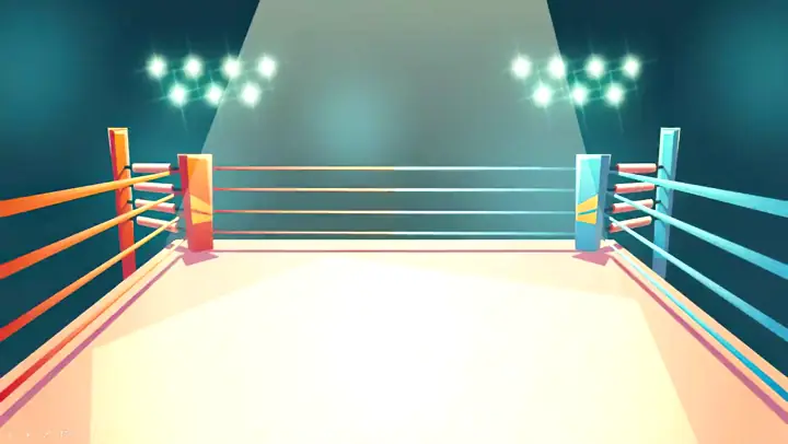 Octo Fight